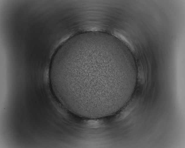 X0000096730394200802191552