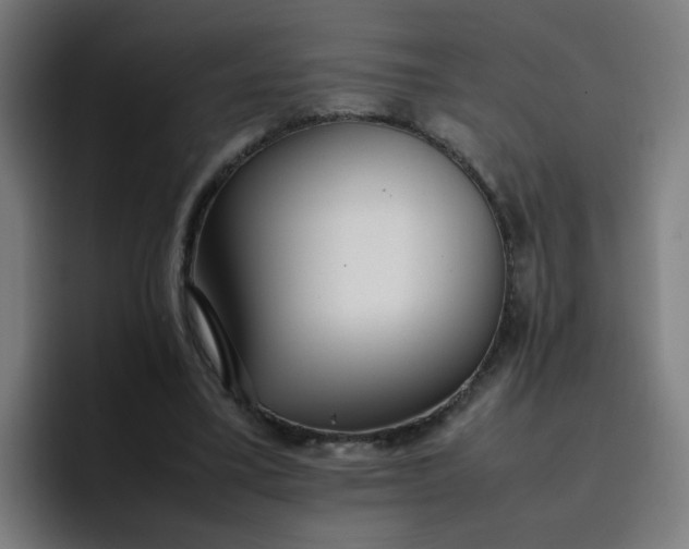 X0000096730395200802191552