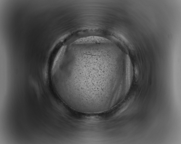 X0000096730396200802191552