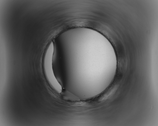 X0000096730397200802191552