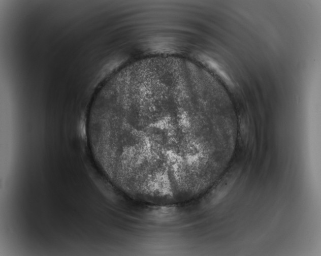 X0000096730398200802191552