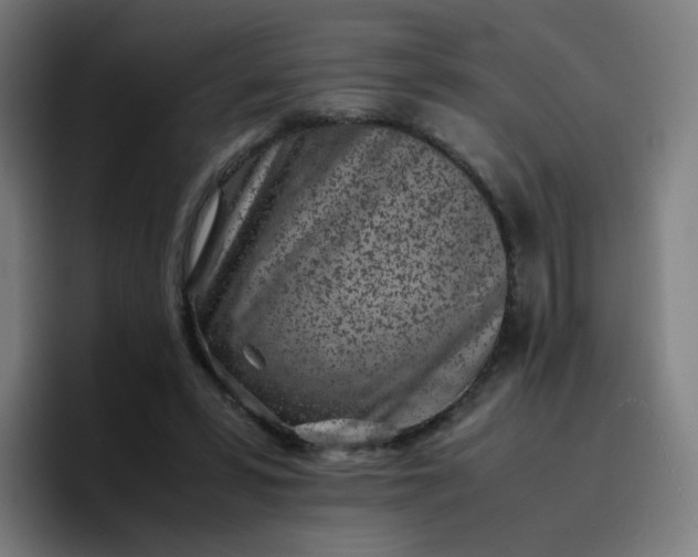 X0000096730399200802191552