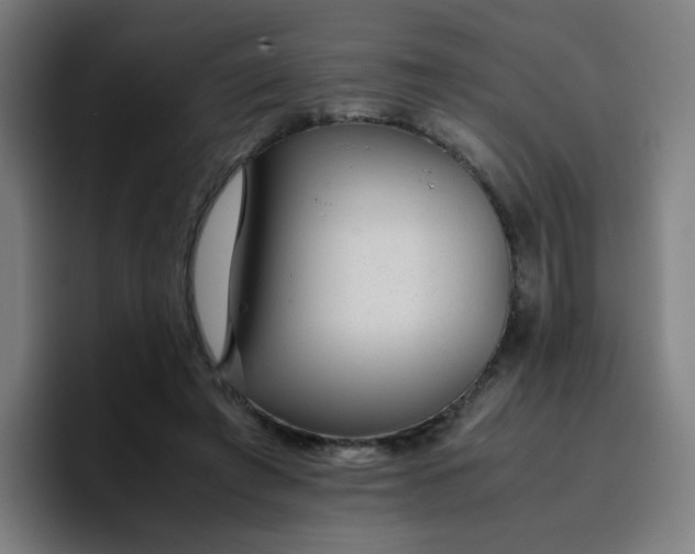 X0000096730401200802191552