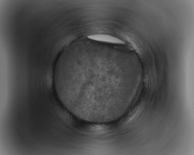 X0000096730402200802191552