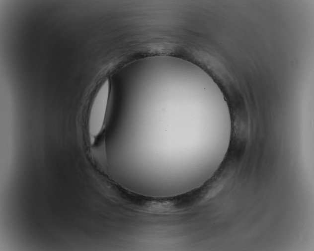 X0000096730403200802191552