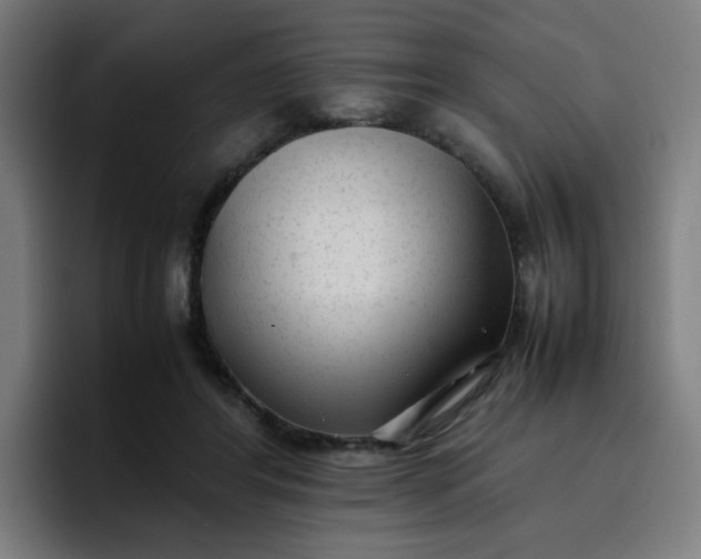 X0000096730404200802191552