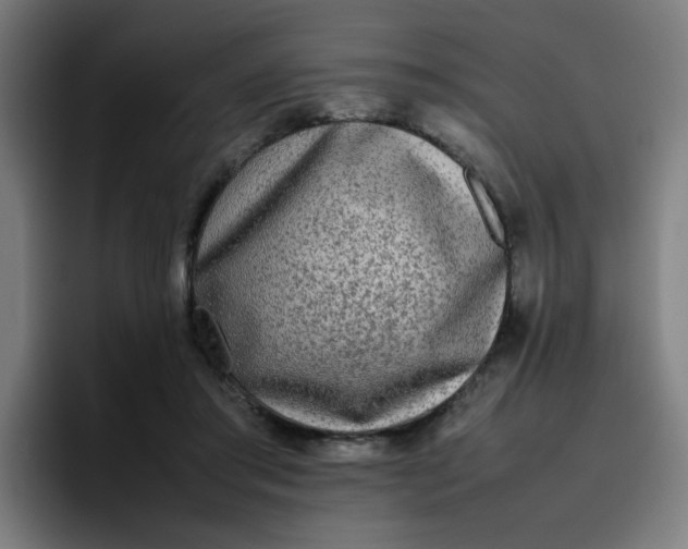 X0000096730405200802191552