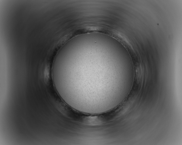 X0000096730406200802191552