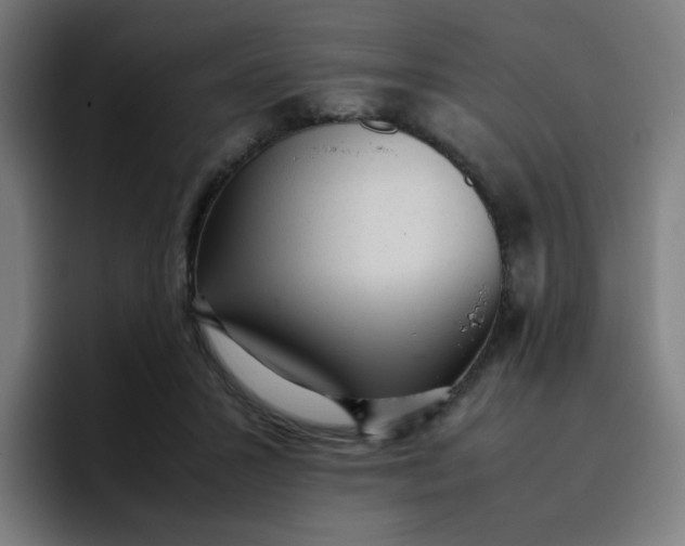 X0000096730407200802191552