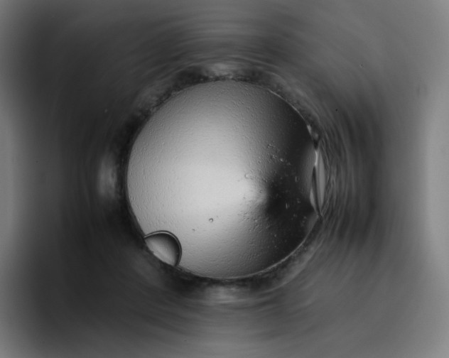 X0000096730408200802191552