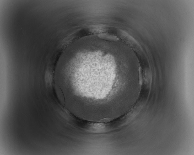 X0000096730409200802191552