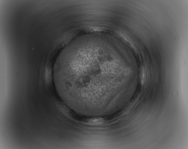 X0000096730410200802191552