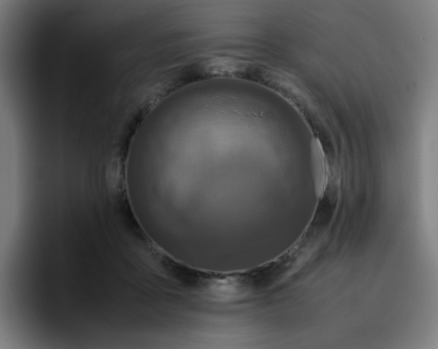 X0000096730411200802191552