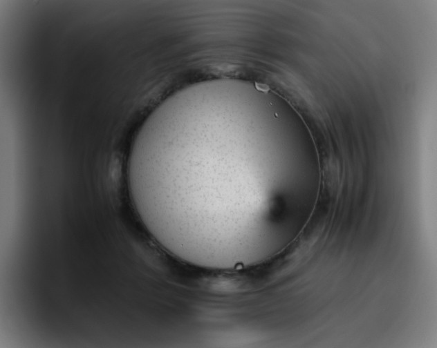 X0000096730412200802191552