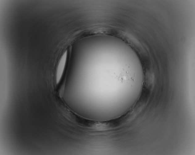 X0000096730413200802191552