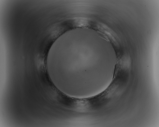 X0000096730415200802191552