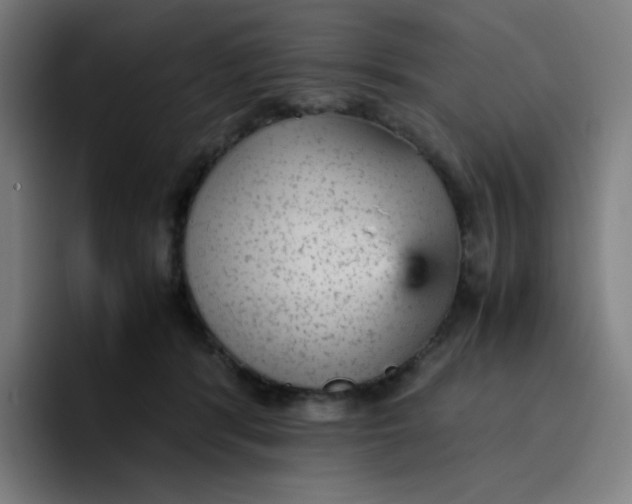 X0000096730416200802191552