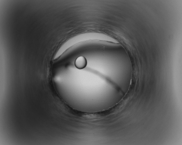 X0000096730417200802191552