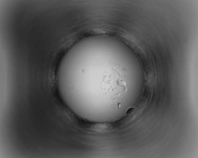 X0000096730418200802191552