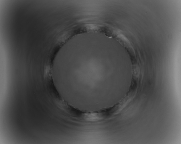 X0000096730419200802191552