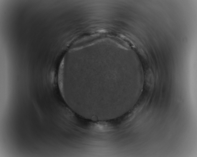 X0000096730420200802191552