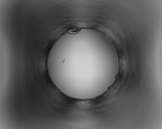 X0000096730422200802191552