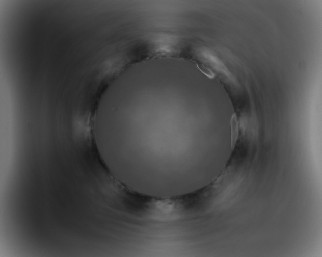 X0000096730423200802191552