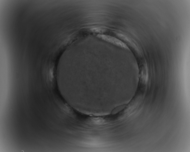 X0000096730424200802191552