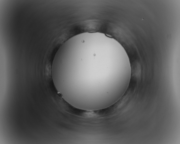 X0000096730425200802191552