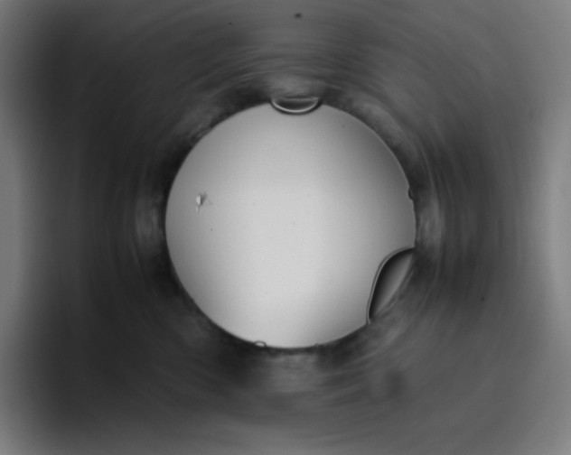 X0000096730426200802191552