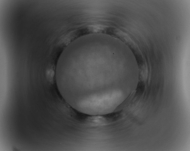 X0000096730427200802191552