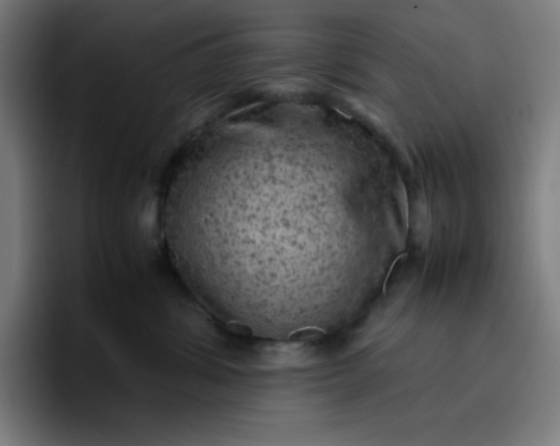 X0000096730428200802191552