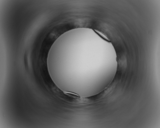 X0000096730429200802191552