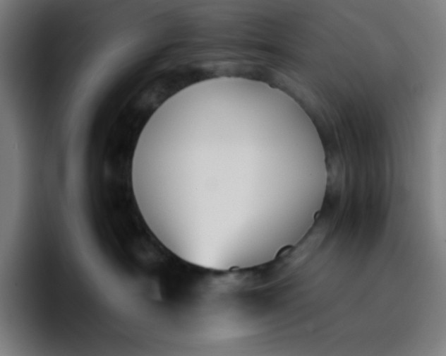 X0000096730430200802191552