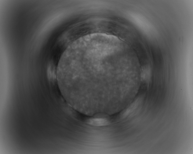 X0000096730431200802191552