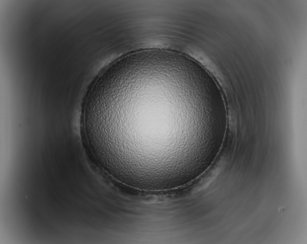 X0000096730434200802191551