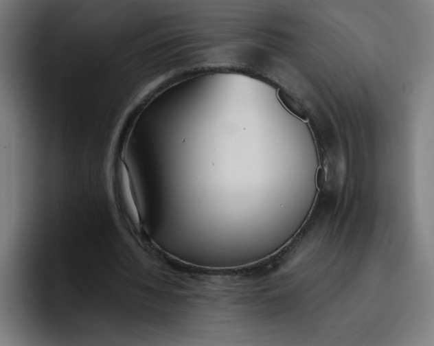 X0000096730436200802191551