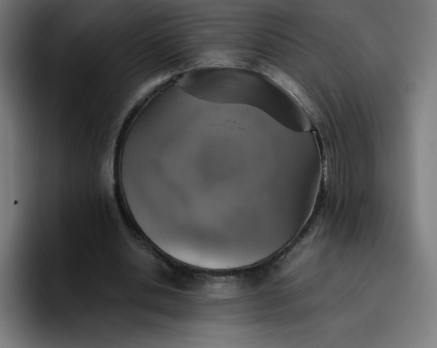 X0000096730438200802191551