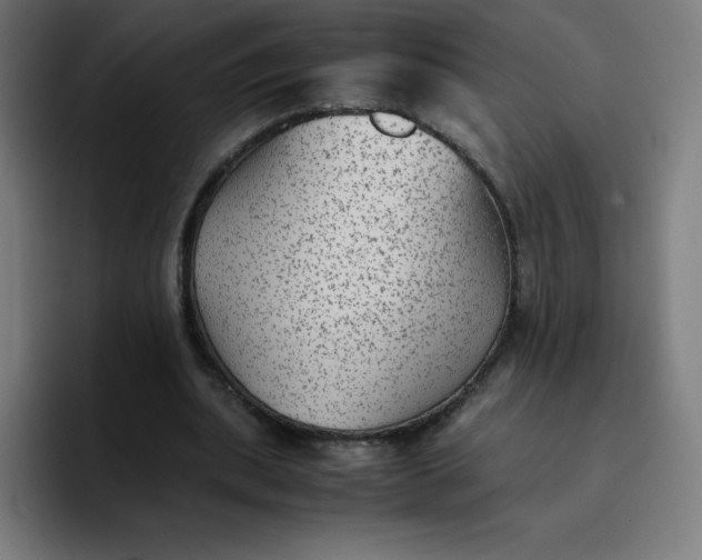 X0000096730439200802191551