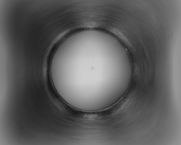 X0000096730440200802191551