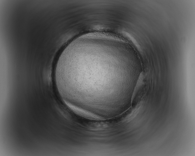 X0000096730443200802191551