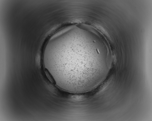 X0000096730444200802191551