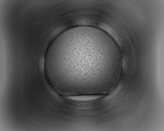 X0000096730445200802191551