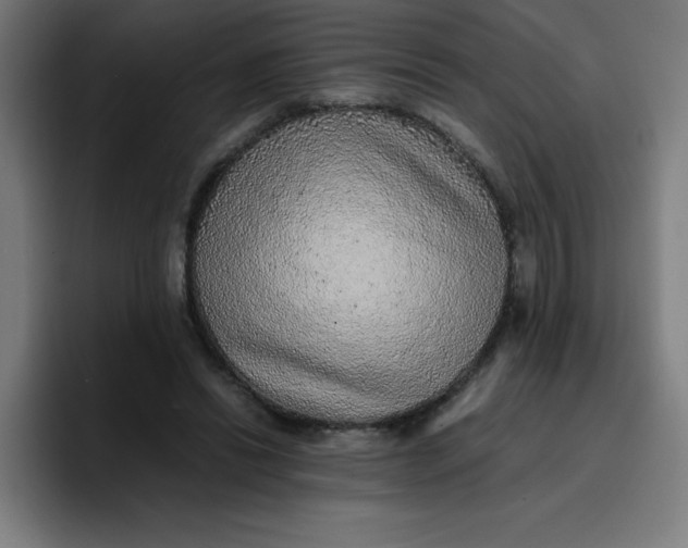 X0000096730446200802191551