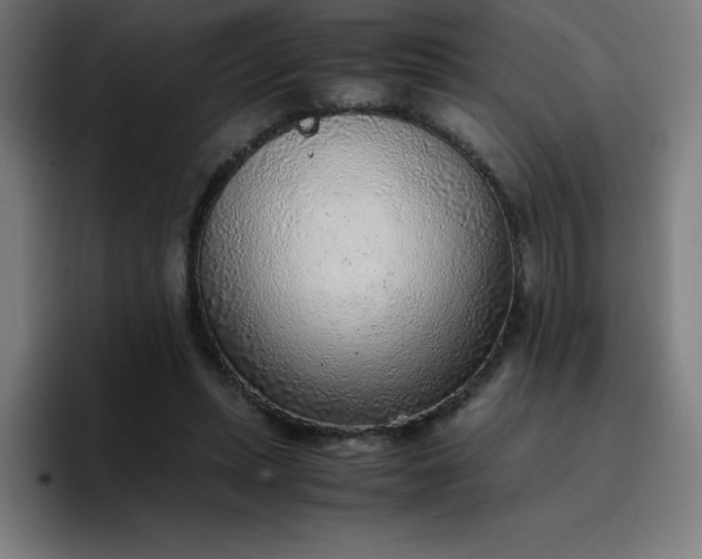 X0000096730447200802191551