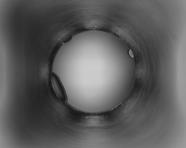 X0000096730448200802191551