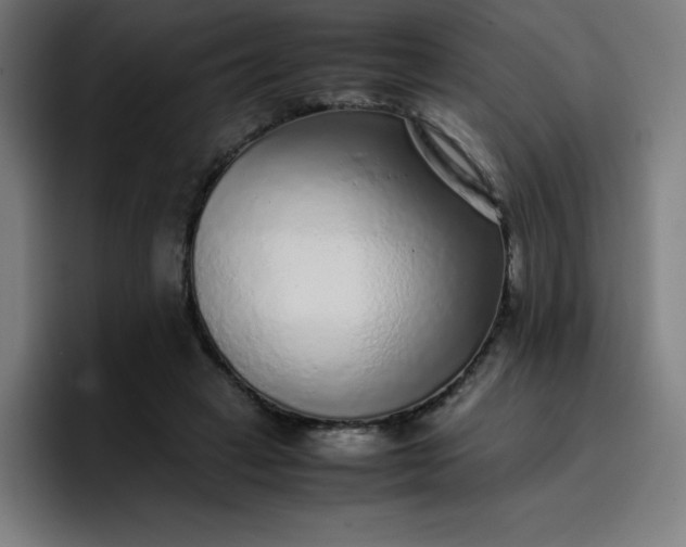 X0000096730449200802191551