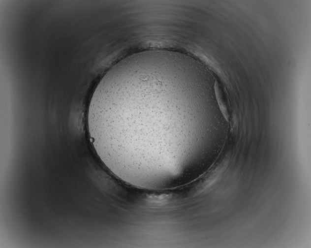 X0000096730450200802191551