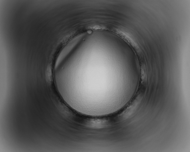 X0000096730453200802191552