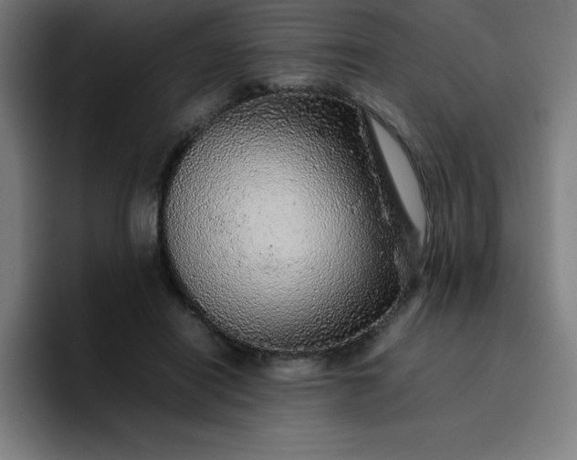 X0000096730454200802191552